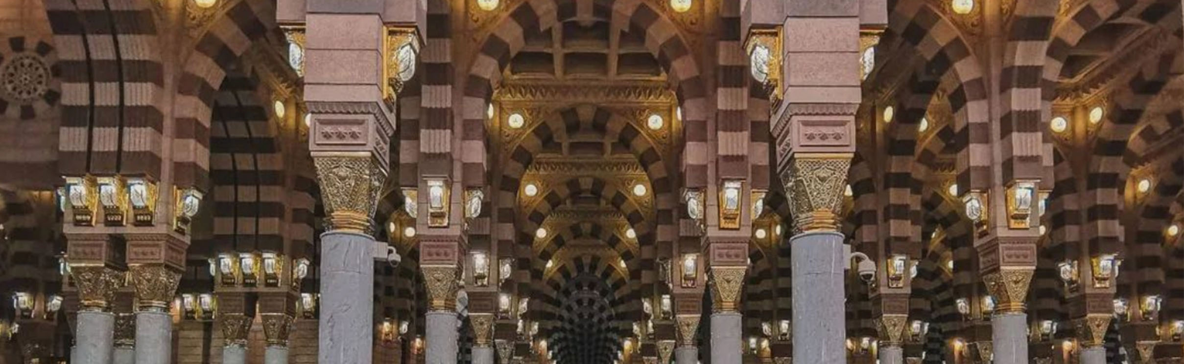 The Misk Programme (Foundation)